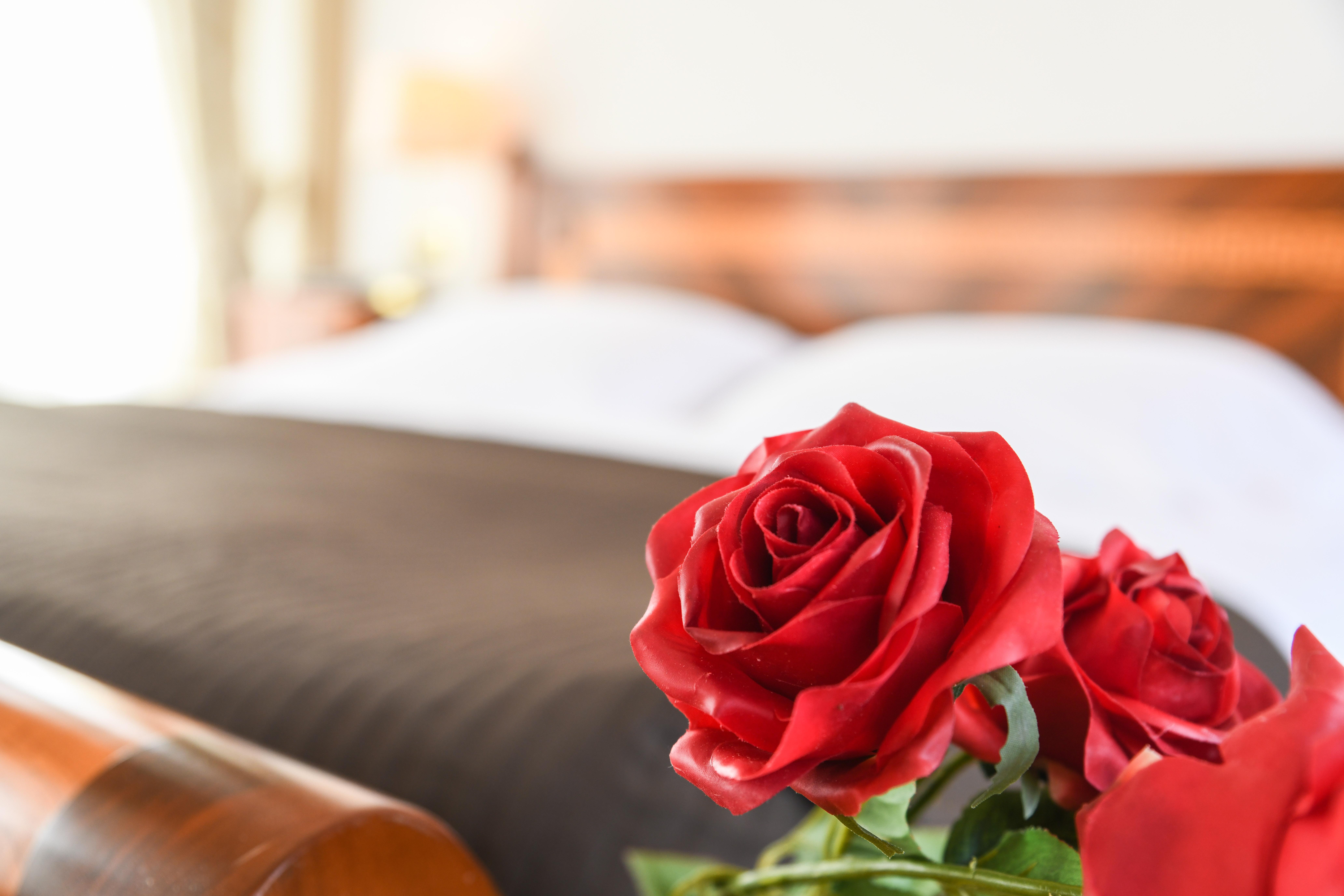 Hotel Vittoria Brescia Eksteriør bilde A red rose